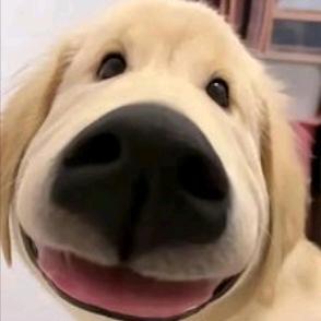 这都不够细节吗