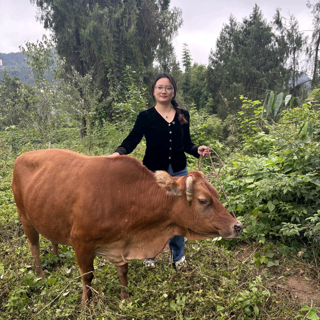 四川宰牛妹儿有乡货