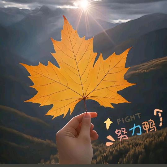 钱总爱家人