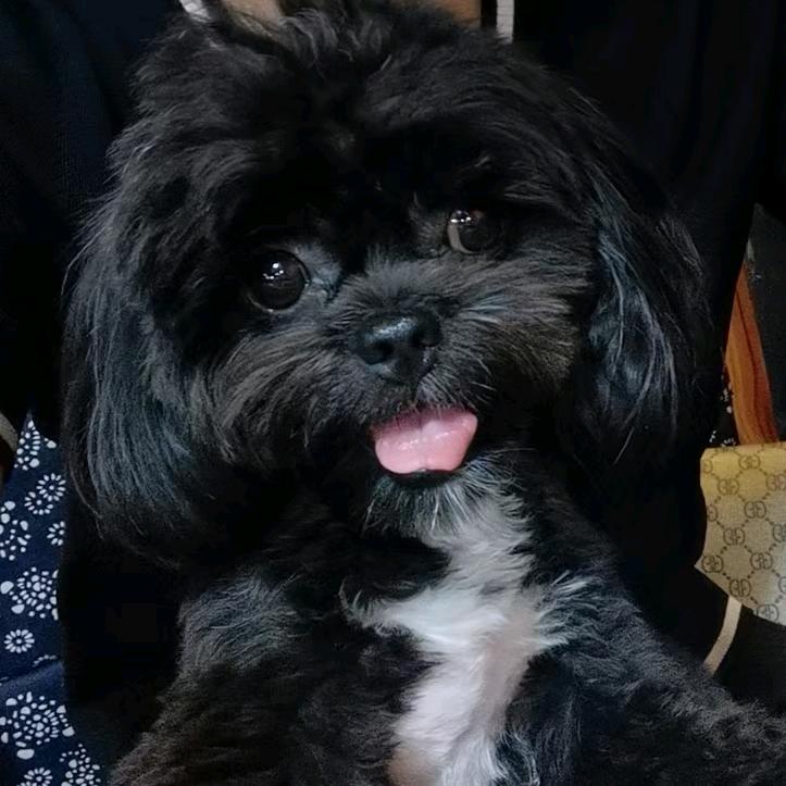 马浩东，苏州市豪美酒店