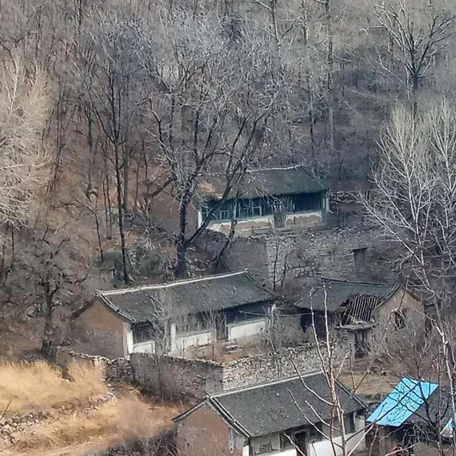 蓝翔密胺创意餐具