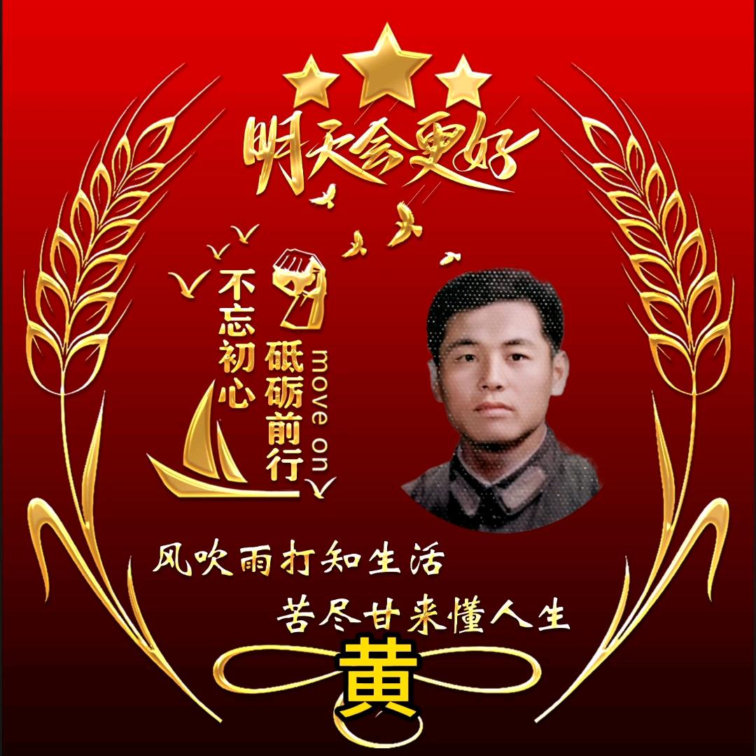 海🇨🇳波（黄）