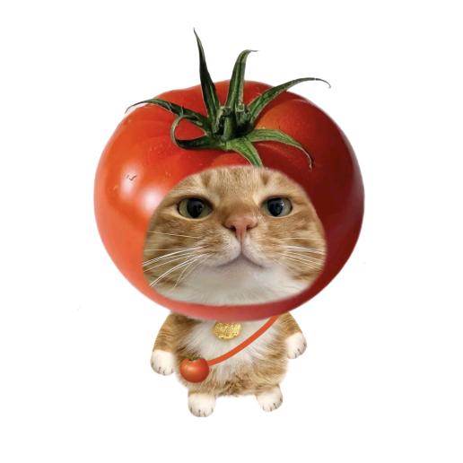 步步-