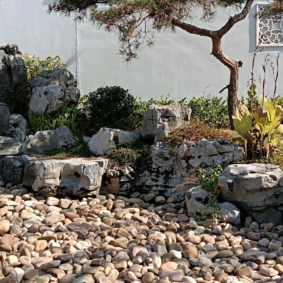 山理娃