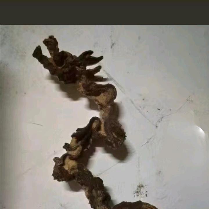 以石会友