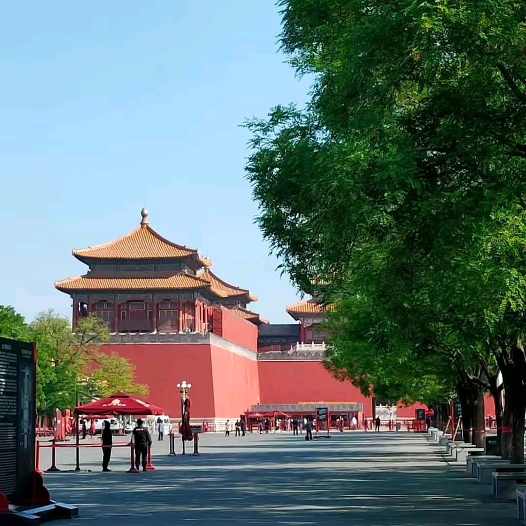 小良良