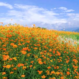 雨🌧过天晴☀️