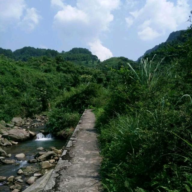 从头再来《不点关注不刷票》