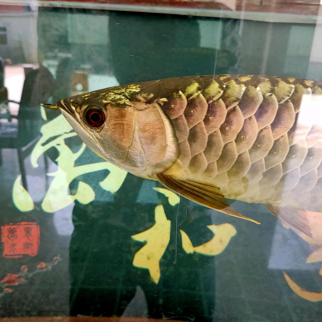 对方忙碌中