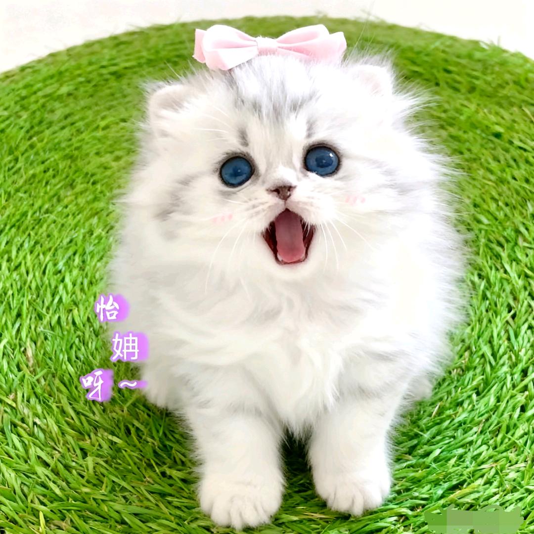 怡姌呀~