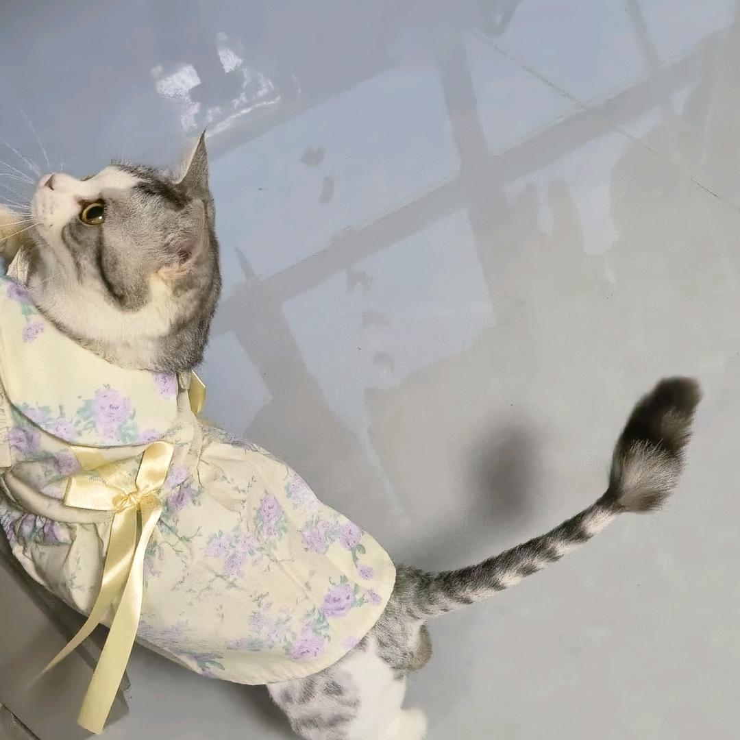 纯爱