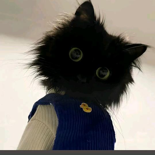 吃土豆长大的马铃薯🤪🤪