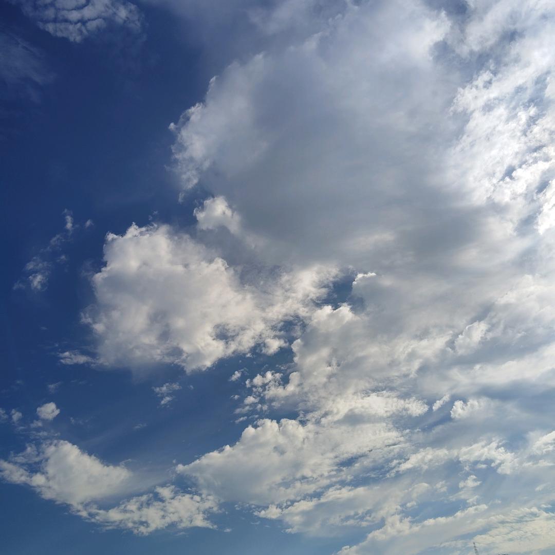 战🍃🍃星💎🔬