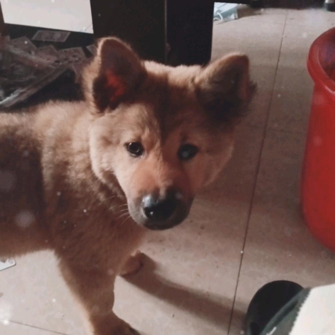 户外野钓...小艾