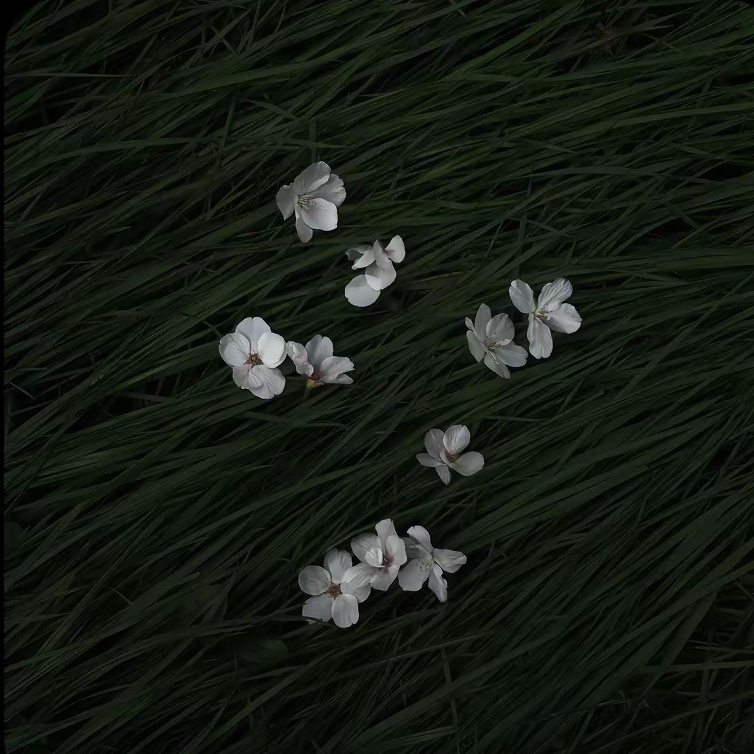 覗寂