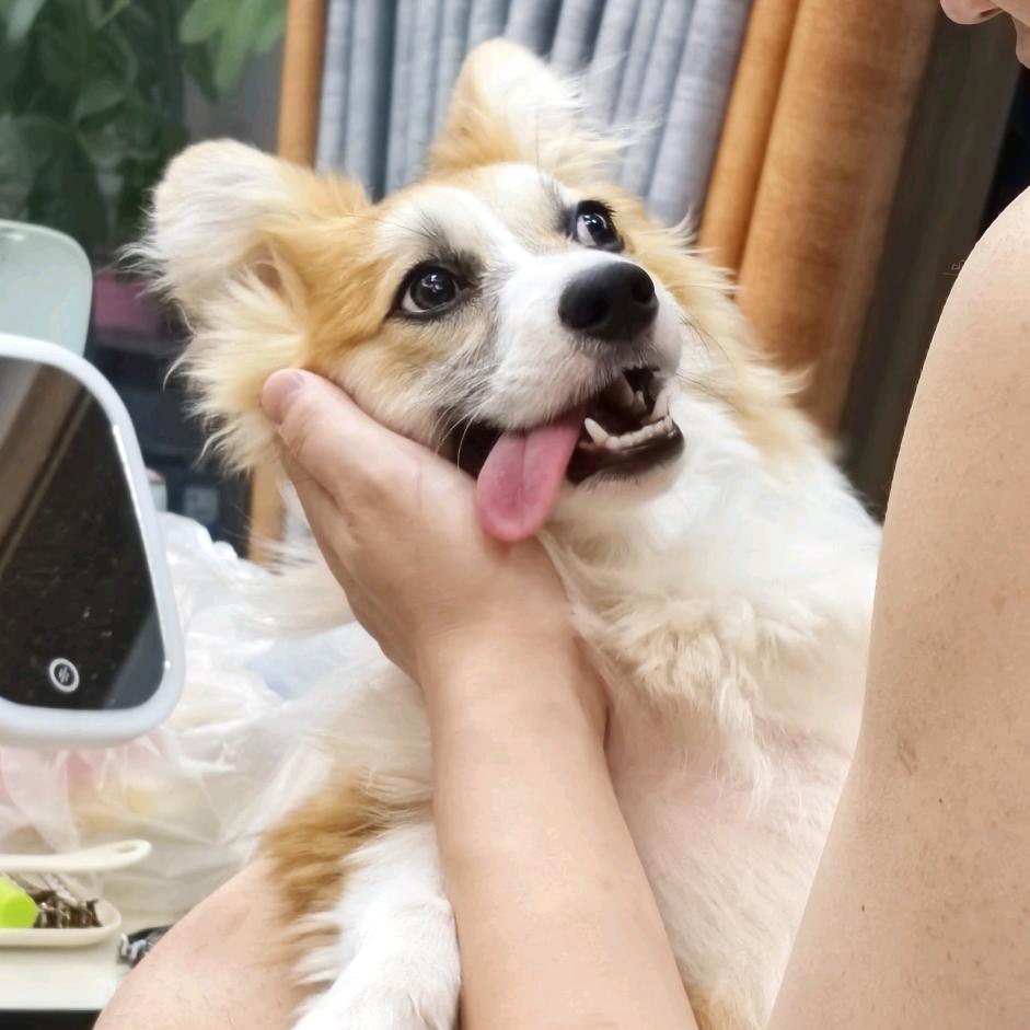 AKA超赛级亚人🍔🍟