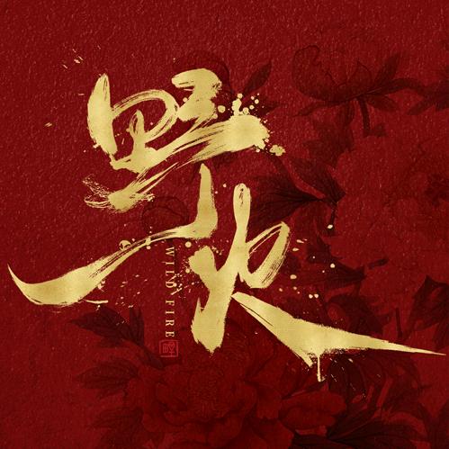 网剧野火