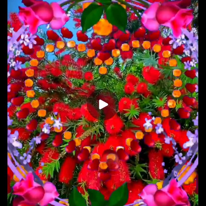 农村兄弟下午18点18开播