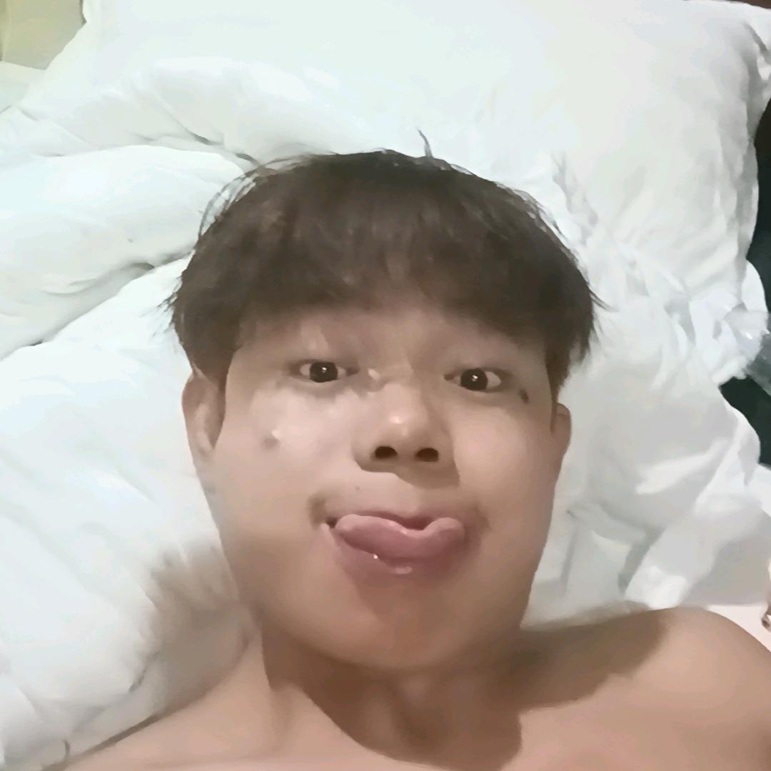 小蔡的整活日记