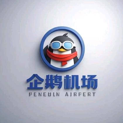 企鹅机场装调检修森老师
