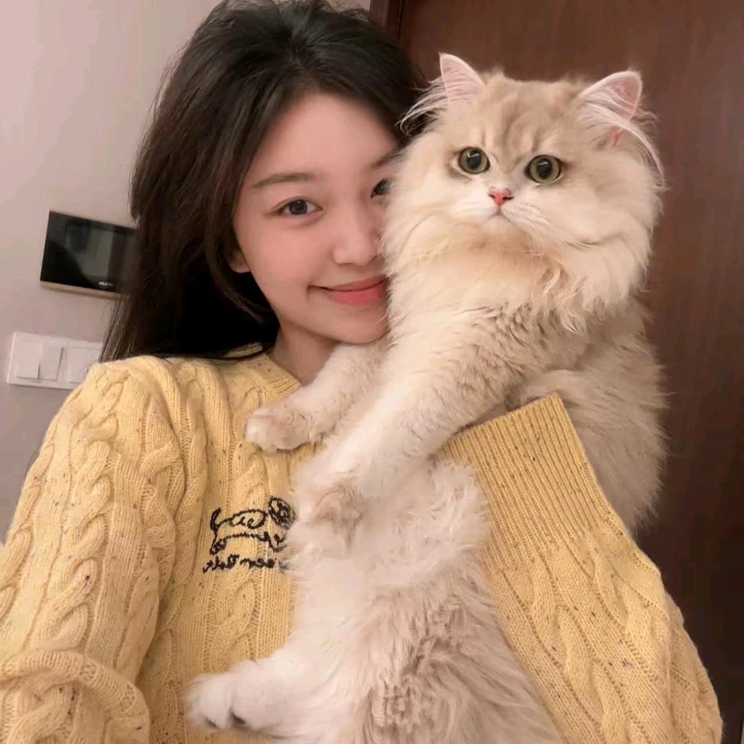 小蝶.🦋
