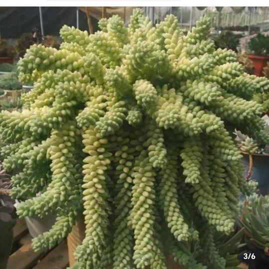 🌹一切随缘🌹