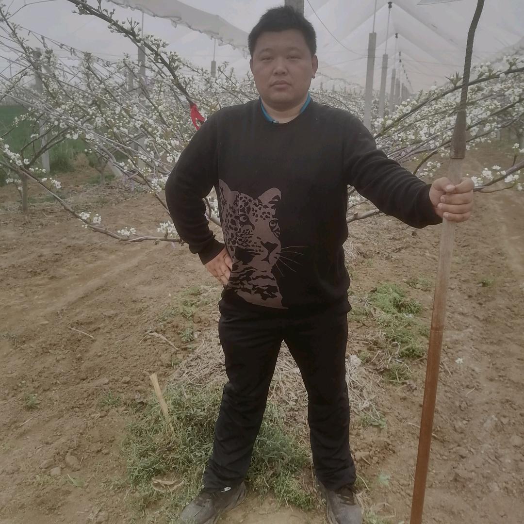 梨福记（青岛）书记