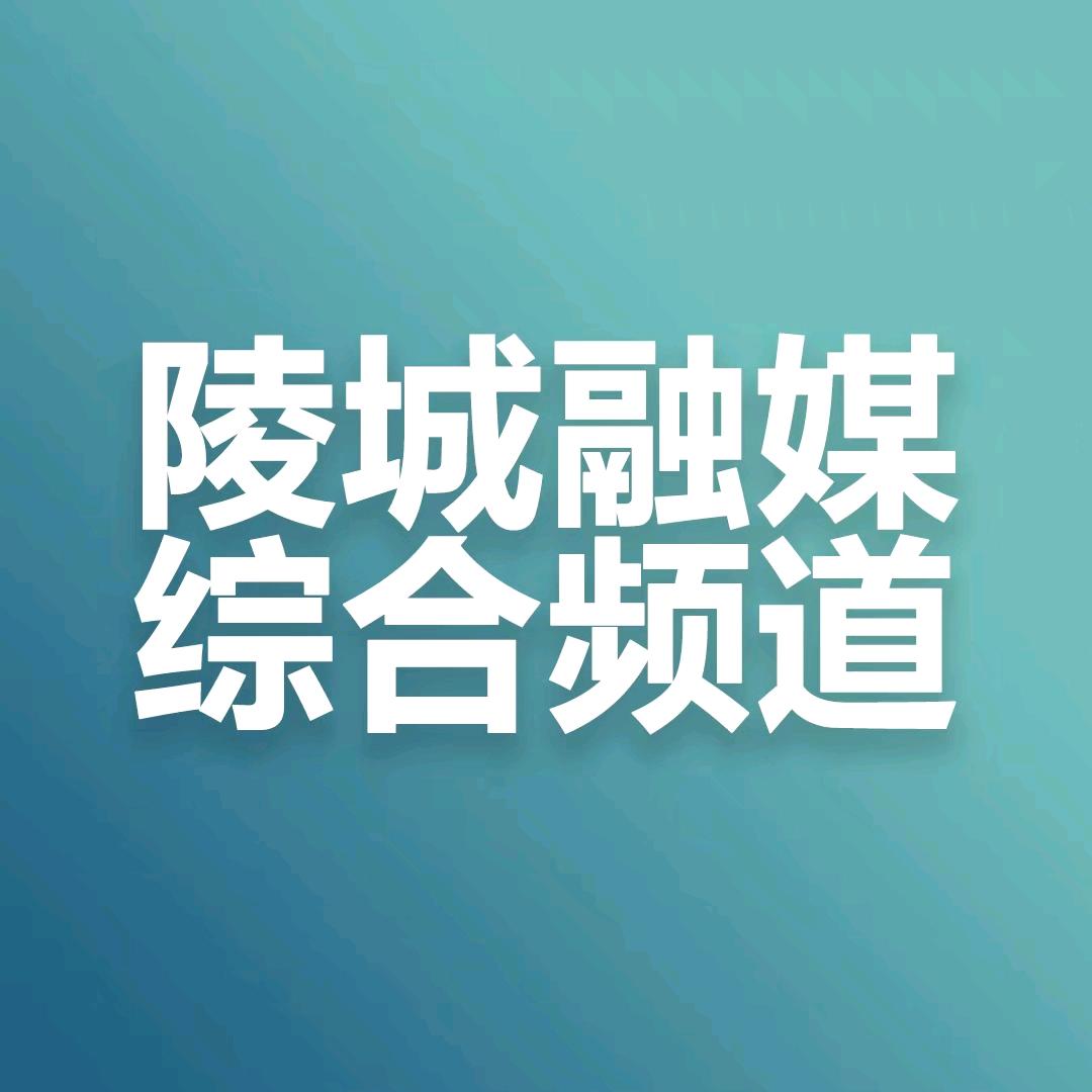 陵城广播电视台综合频道