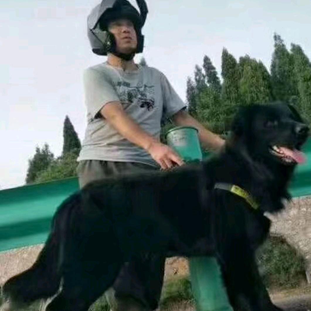 沙漠之鹰