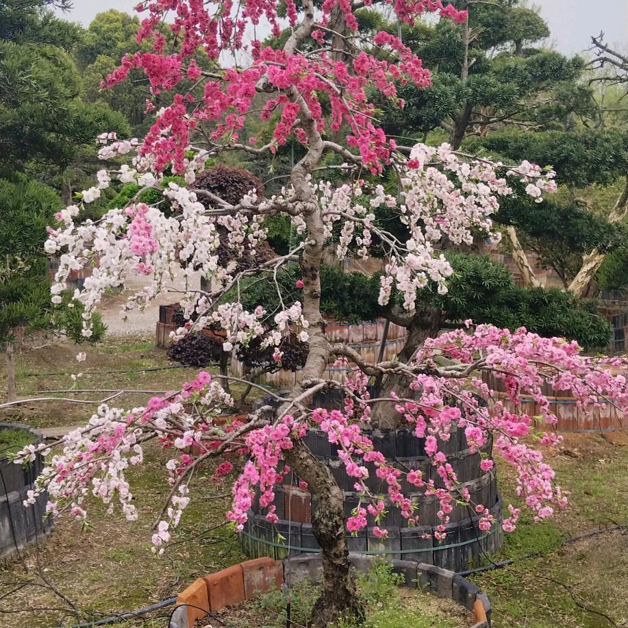人生随缘