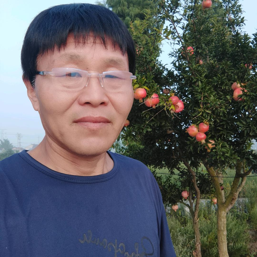 520一心一意