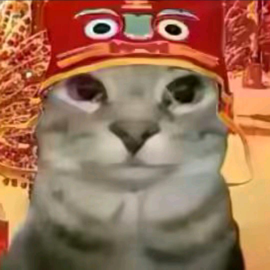 帝帝