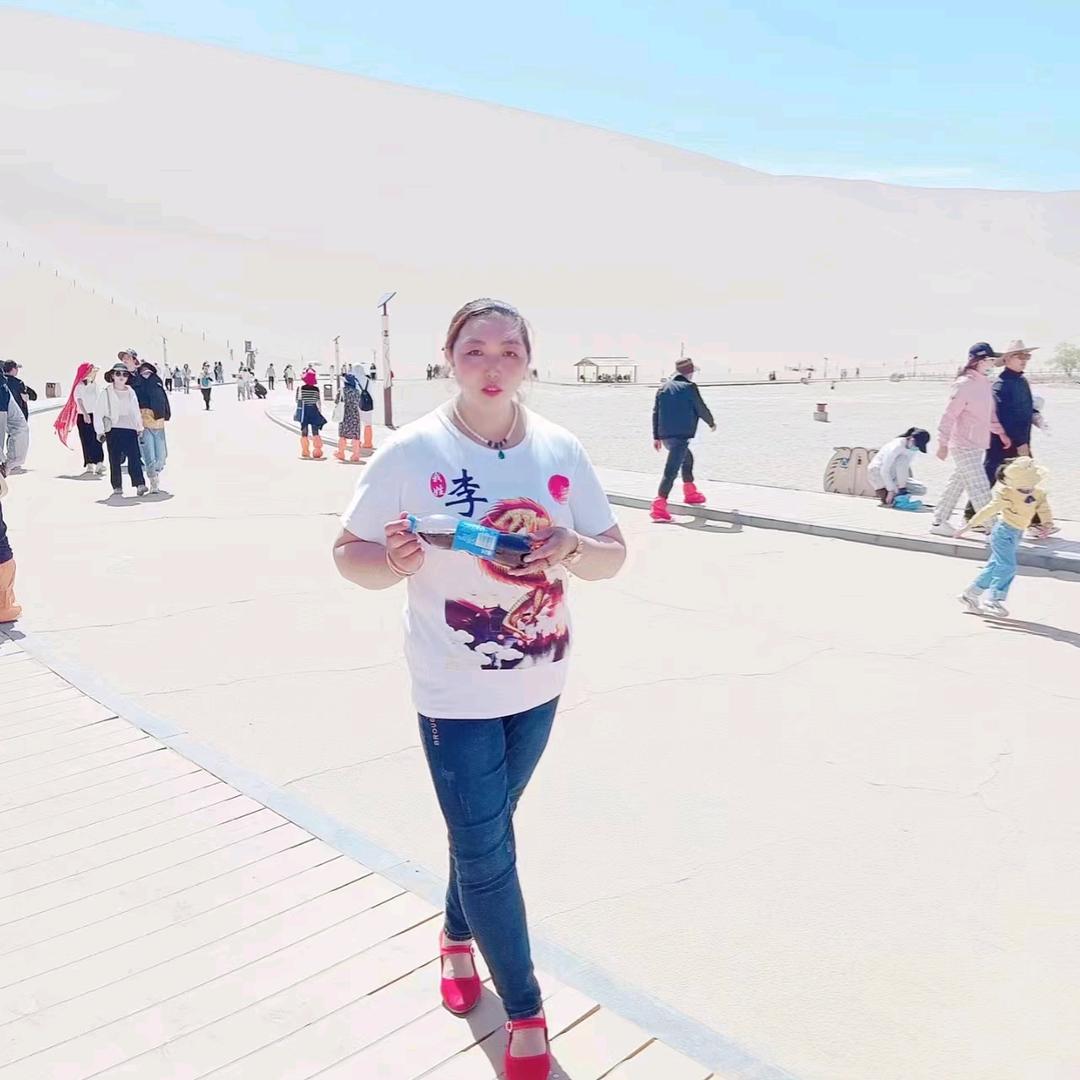 高级顾问