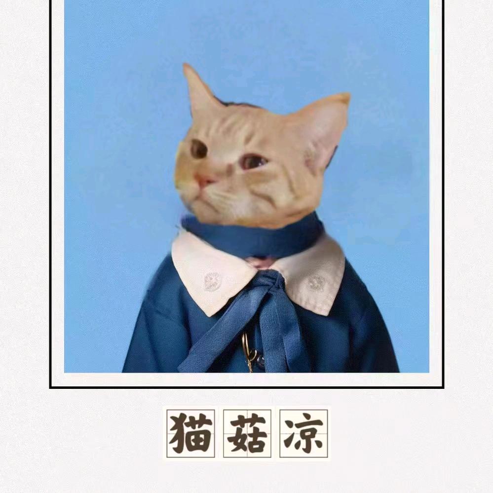 冬眠困困魚🍒