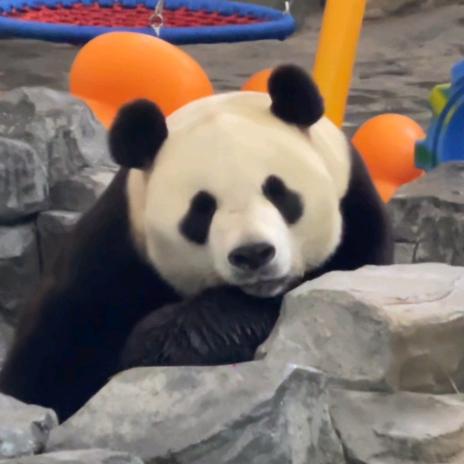 清凉雨水