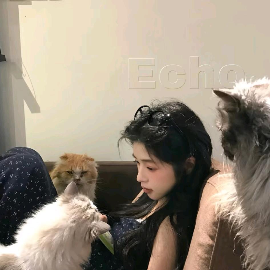 睡着了也困