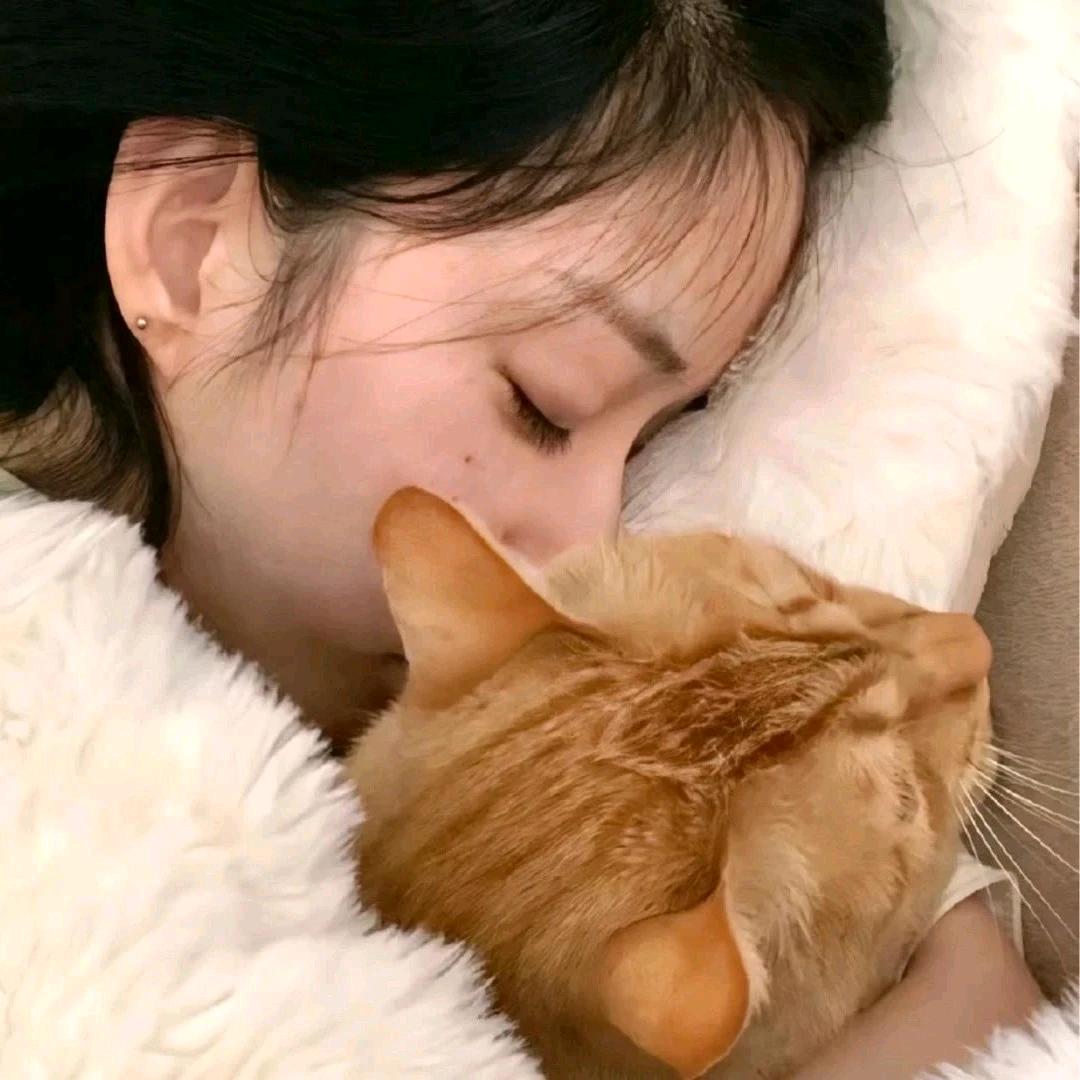 派派
