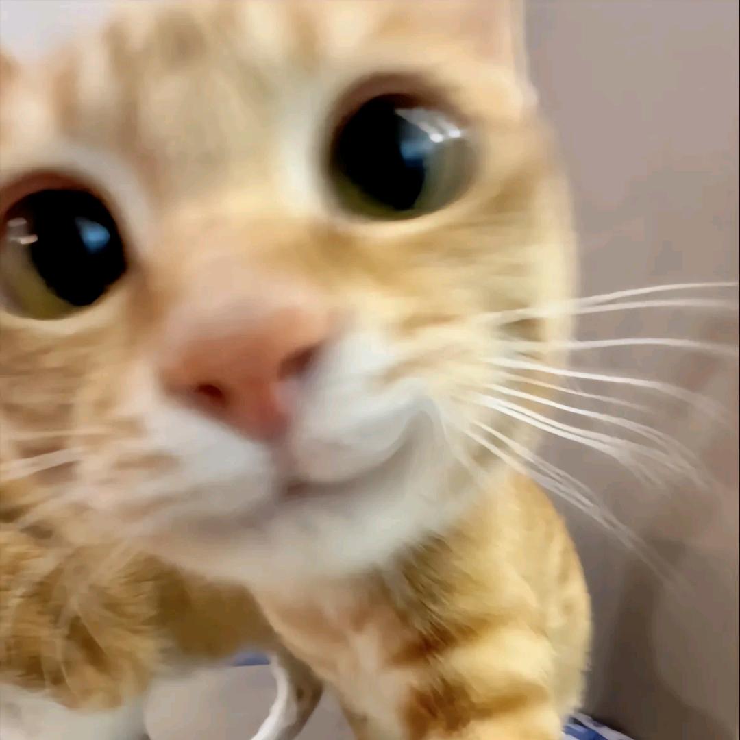 一颗
