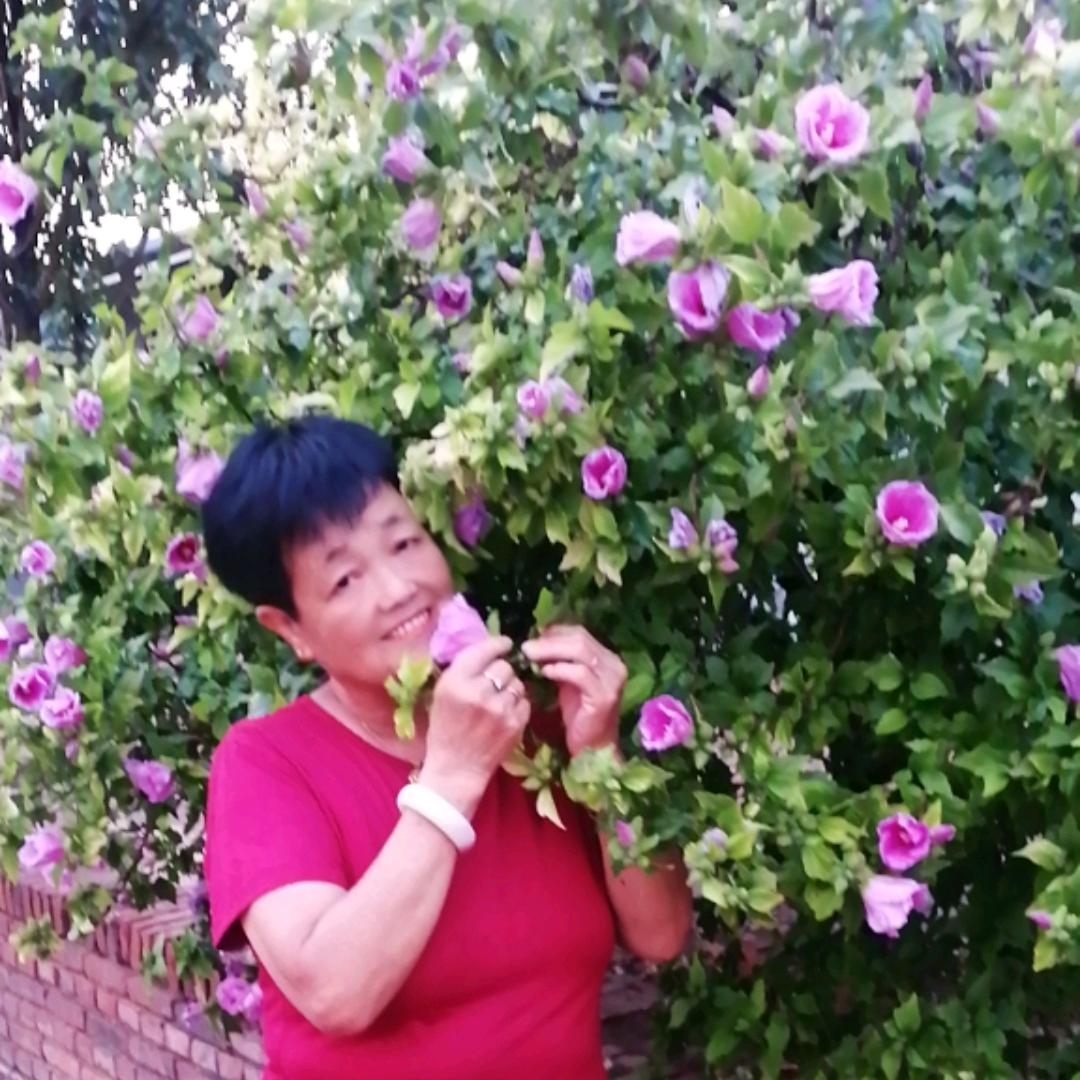 🌺吉祥如意🌺