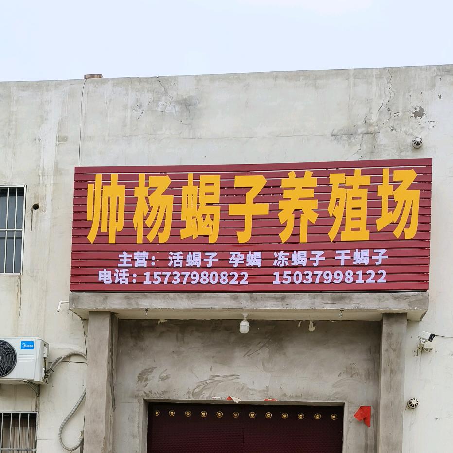 帅杨【全蝎】产地直销