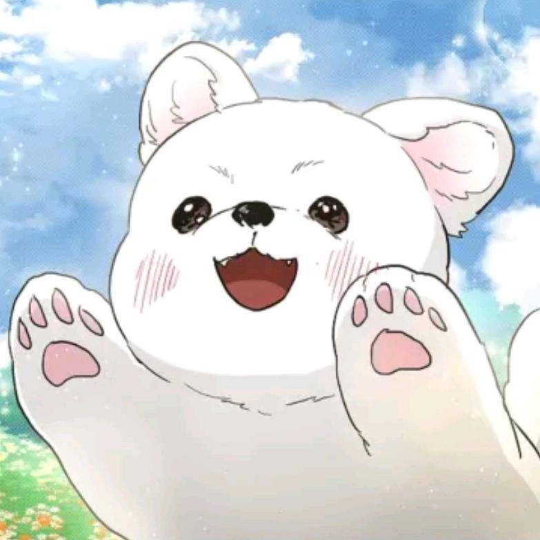 波波鱼