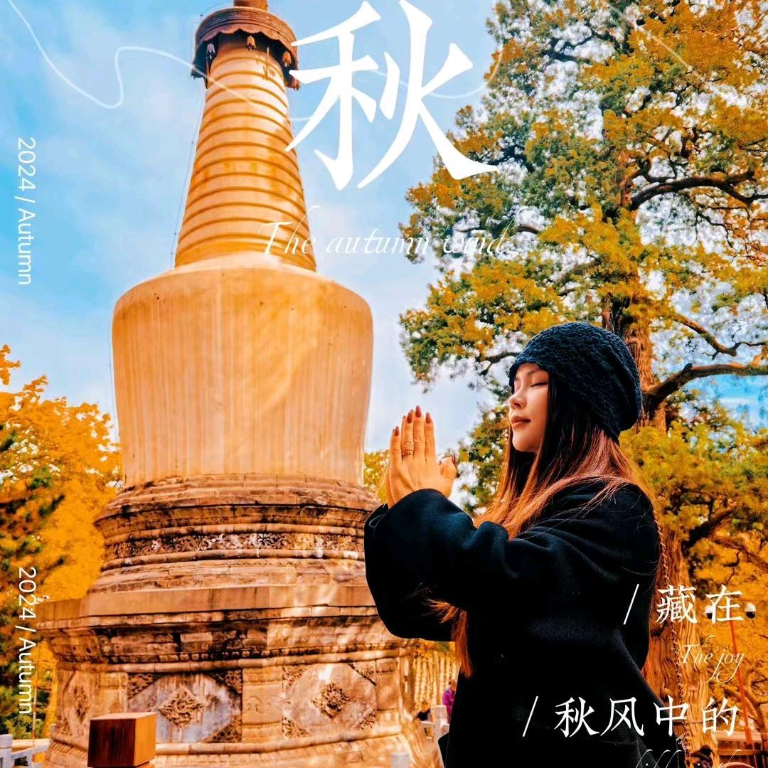 美人儿👣