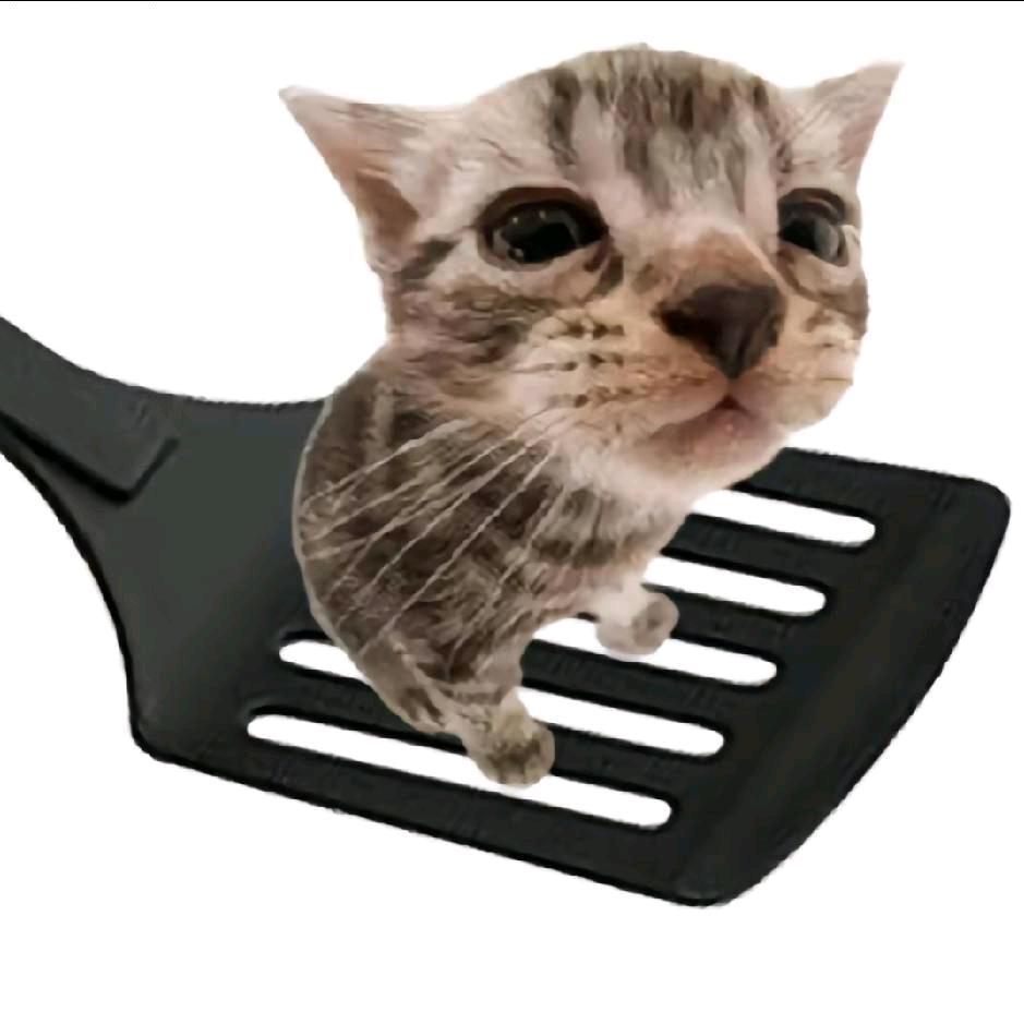 倒煤