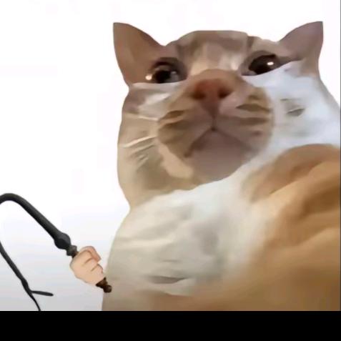 闹挺