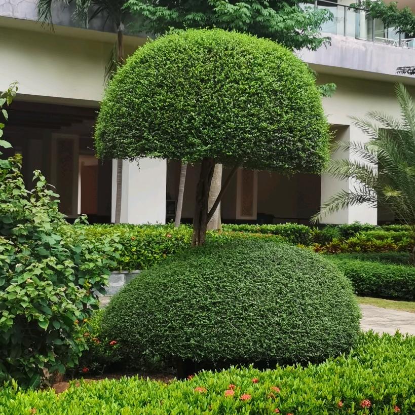 荣哥正能量