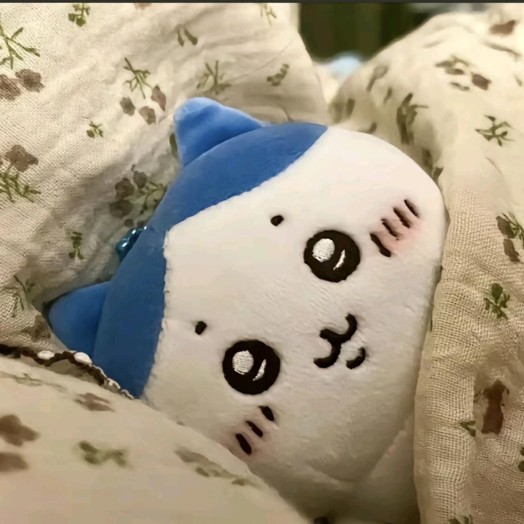 小李李李sz