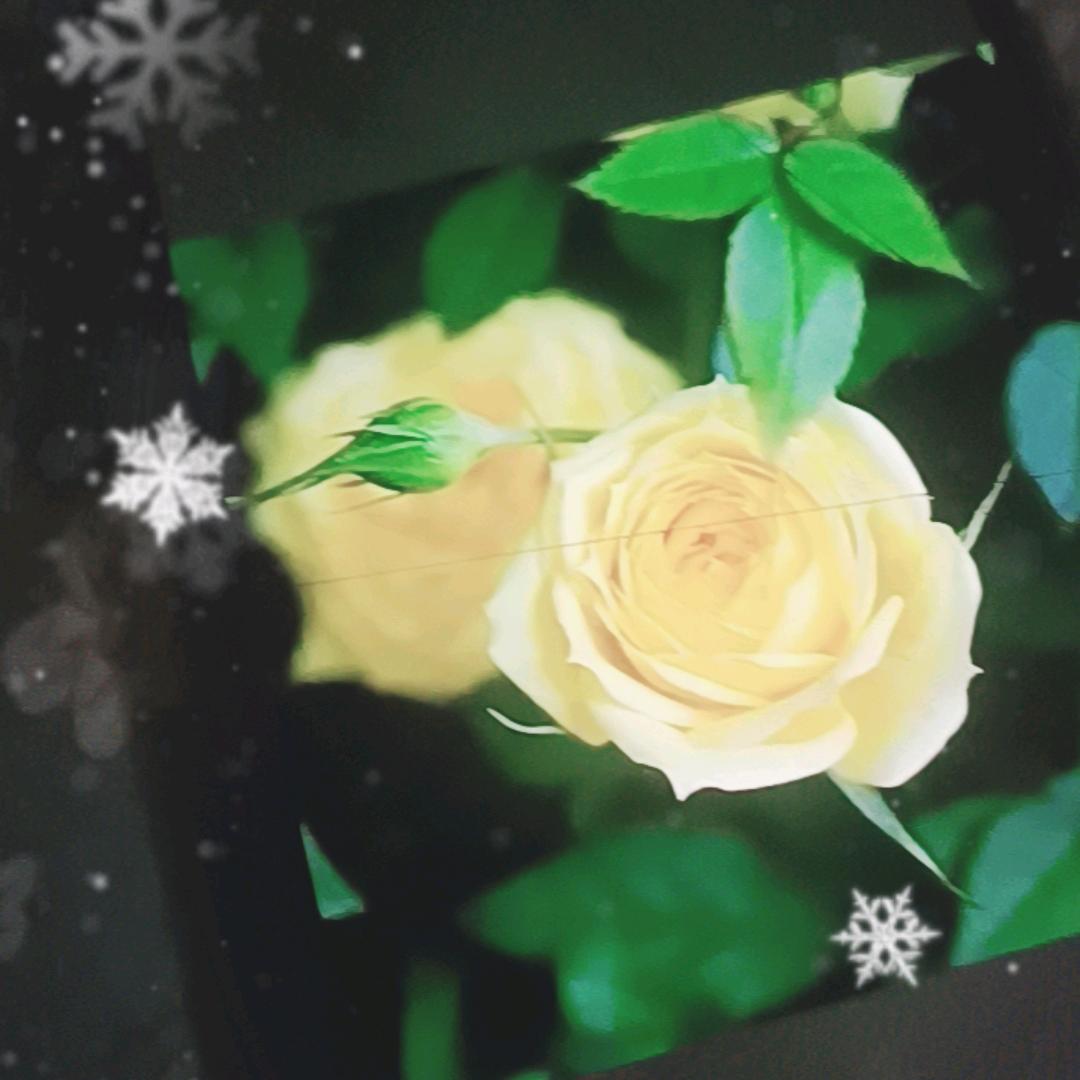 为了梦想有自信