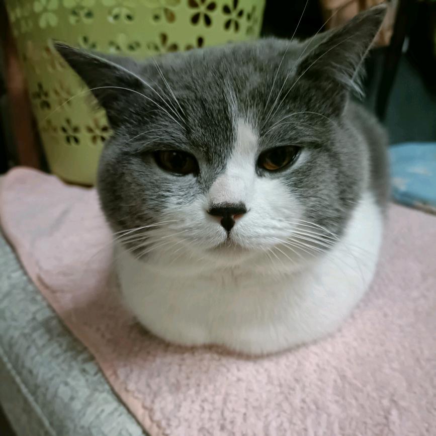 哈喽！你好！明天