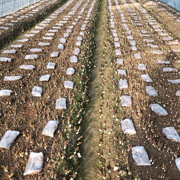 德兴市荣祥家庭农场