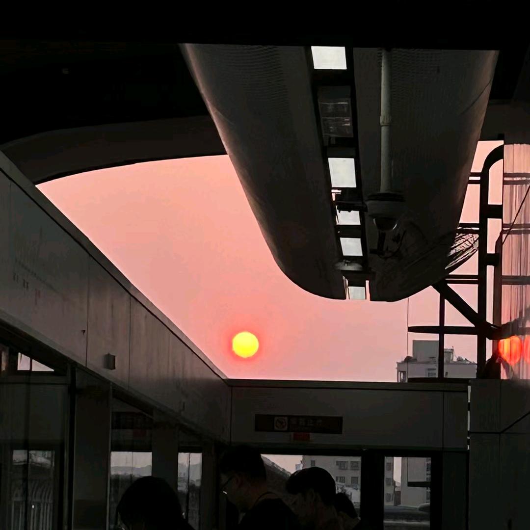 废杨杨